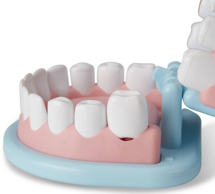 Zestaw małego dentysty Super Smile Melissa & Doug
