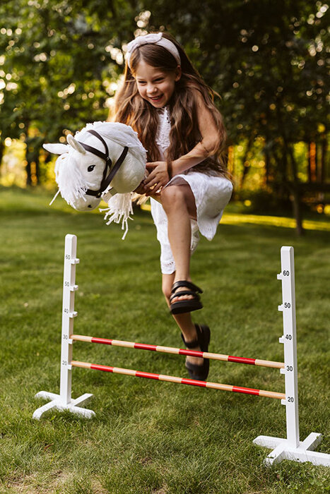 Hobby Horse przeszkoda dla konia na kiju Astrup